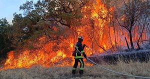 Feux de forêt : comment votre assurance habitation peut vous sauver la mise