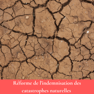 Le régime d&rsquo;assurance Catastrophes Naturelles : un terrain d&rsquo;expérimentation pour la réforme de la protection sociale