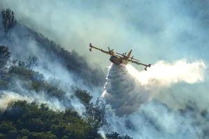 Incendie à Fontainebleau : 900 évacuations et l&rsquo;étendue des garanties d&rsquo;assurance face au sinistre